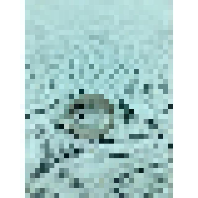 Кольцо обручальное с клеймом на внутренней поверхности "Ц-45к". Предмет принадлежал Л.Д. Журавлёвой