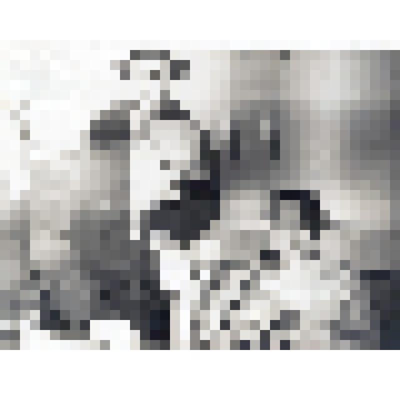 Фото. Первые часы после приземления