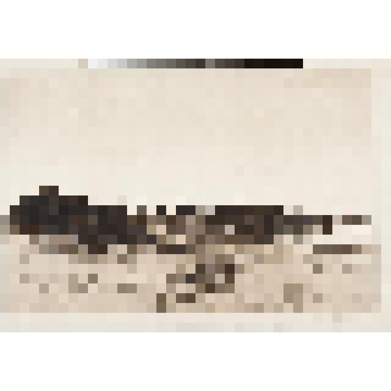 Старая ферма у моря, гравюра