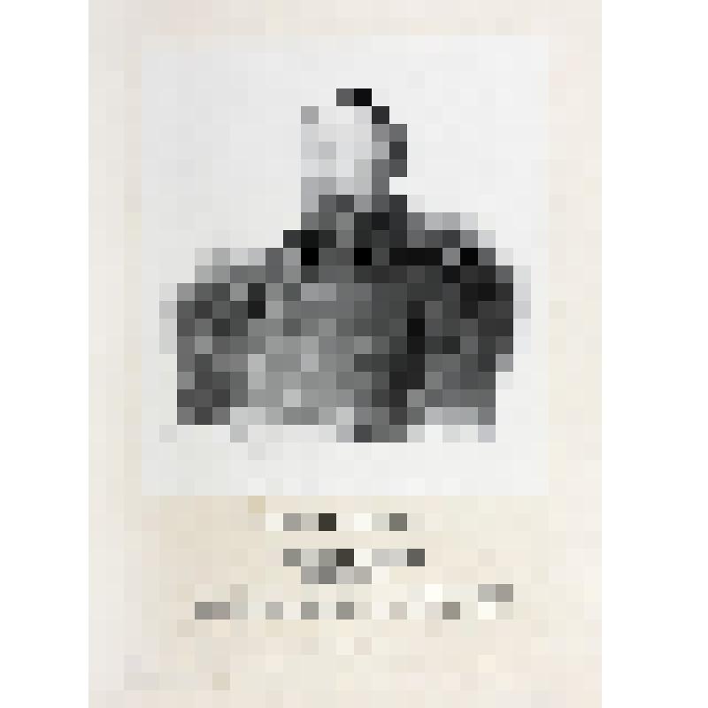 Портрет. Лаврентий Семенович Кишинский 1-й. Из альбома "Портреты лиц, отличившихся заслугами и командовавших действующими частями в войне 1853-1856 гг."