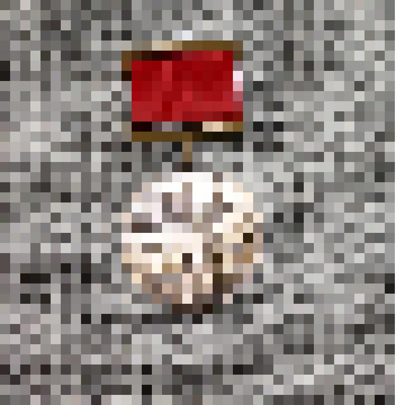 Медаль "За труды в военной литературе"