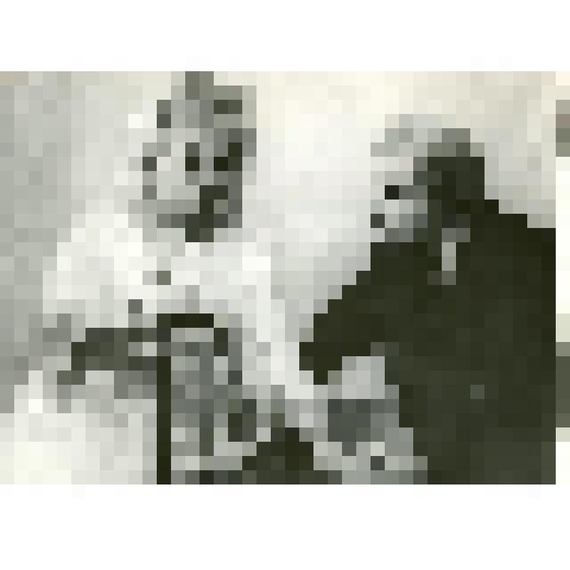 Фотография (?). Сц. из сп.: Бабушка - Ф. Горская (слева) и синьор Бальбоа - В. Яковлев. Сидя, поясные. "Деревья умирают стоя" (реж. А.Н. Кармилов, худ. В.П. Москаленко). Курск, Областной драматический театр им. Пушкина