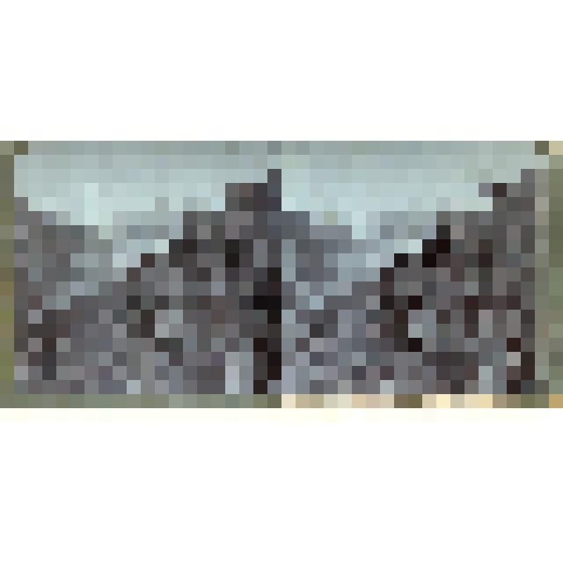 Карточка для стереоскопа «Большой Азау. Терская область. Начало реки Баксан». Из коллекции «Кавказ» с видами природы Западного Кавказа. Автор фото Н.Л. Минервин