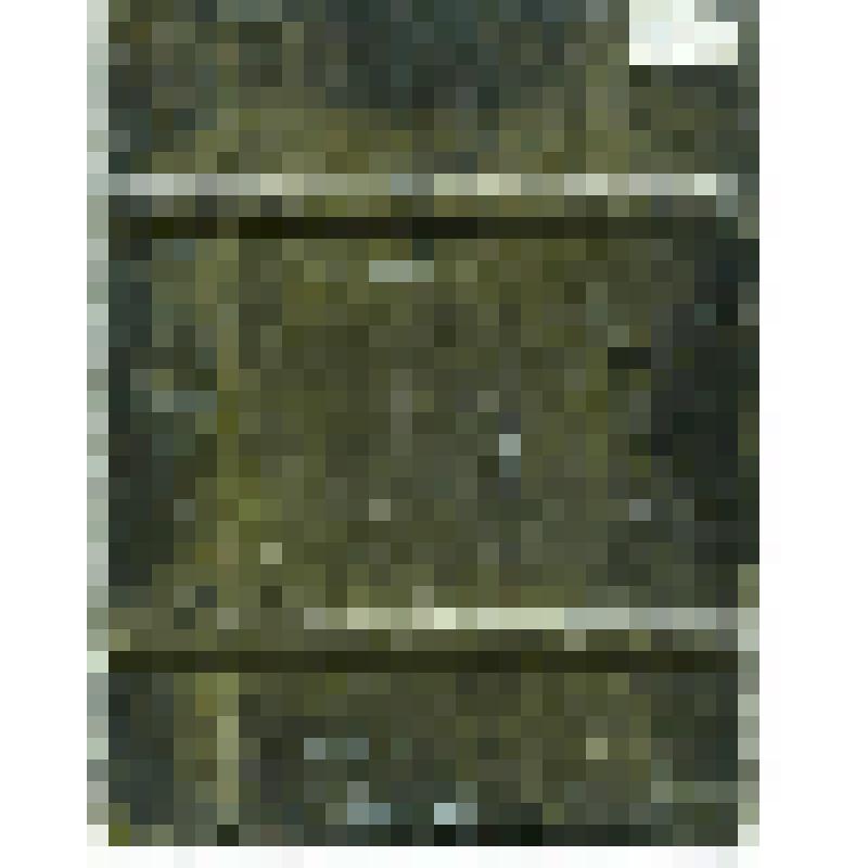 Артемий Великомученик и Артемий Веркольский. Икона