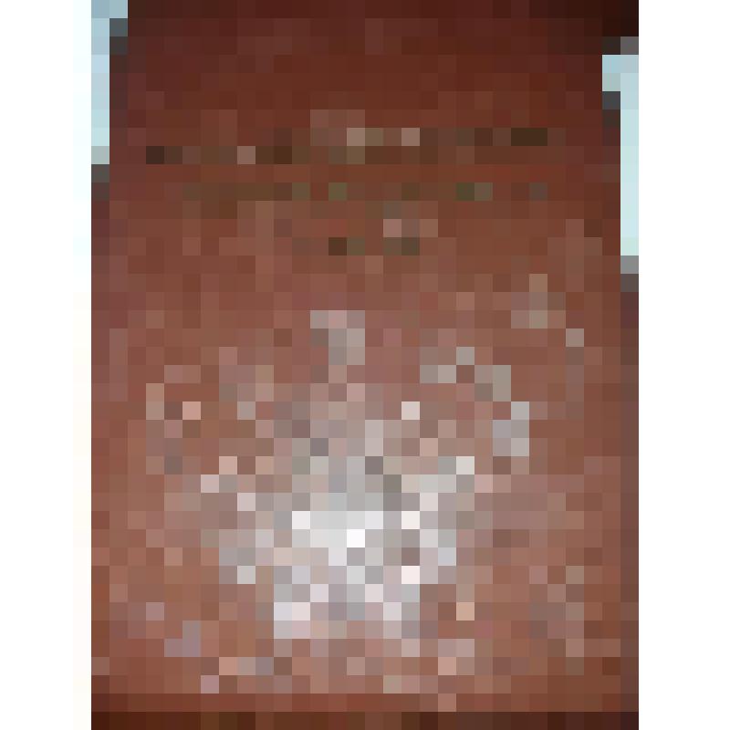 Приветственный адрес с оттиском «Владимир Антоновичка махтал, ба5а-санаа сурук» с его 70-летием, от 23 мая 1970 г