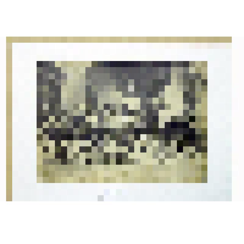 Фотография чёрно-белая. Фотография