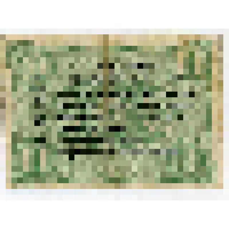 Бумажный денежный знак. Нотгельд г. Плауэн. 10 пфеннигов. Германия (Веймарская республика) (?)