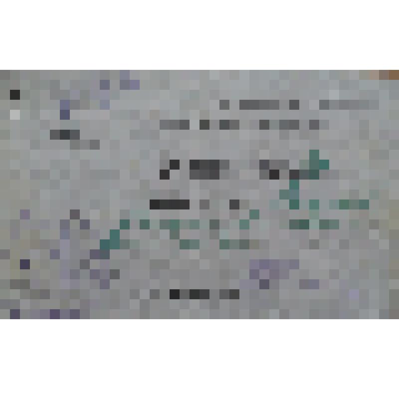 Билет делегатский №58 Флёрова Н.А., 10.06.1926 г