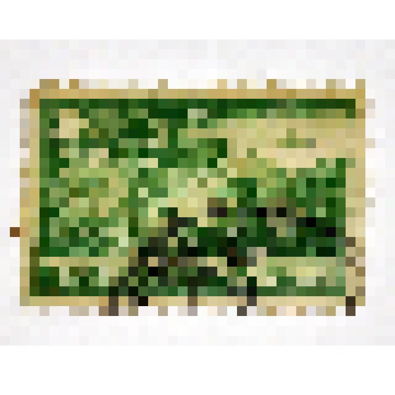 Марка почтовая. Одесса. Из серии " Города-герои". Художник Мандрусов А. Номинал 30 коп