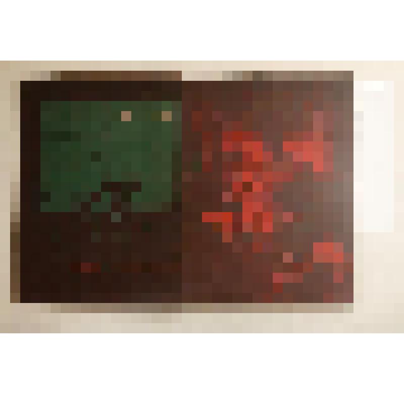 Книга. Стихотворения (на арм. языке). / 1935 г