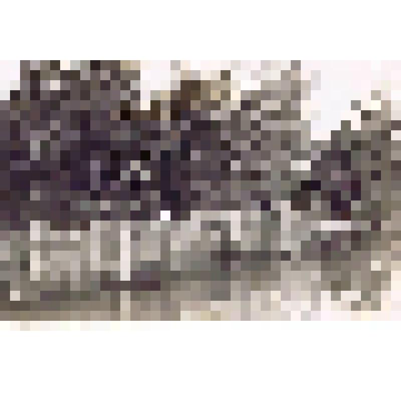 Фотография. Запорное рыбаловство на речке Тайлаково