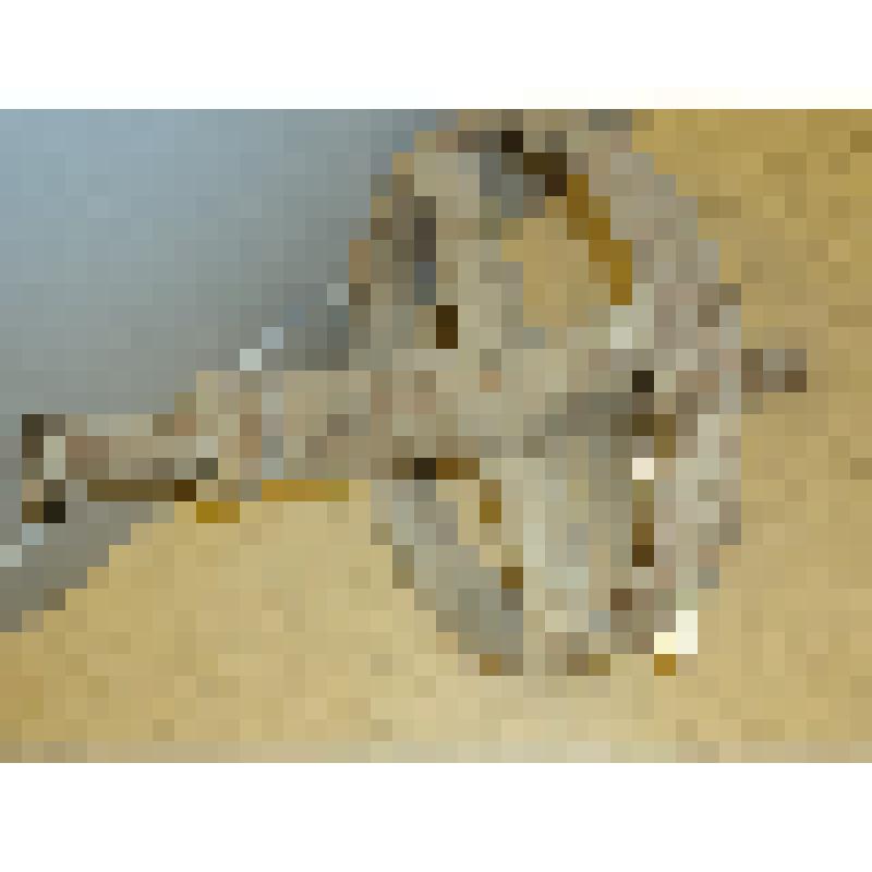 Колесо от тачки