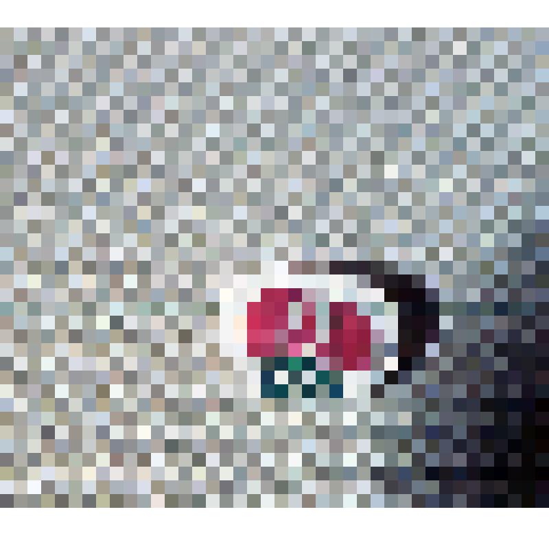 Значок. Москва XXII Олимпиада. Бокс