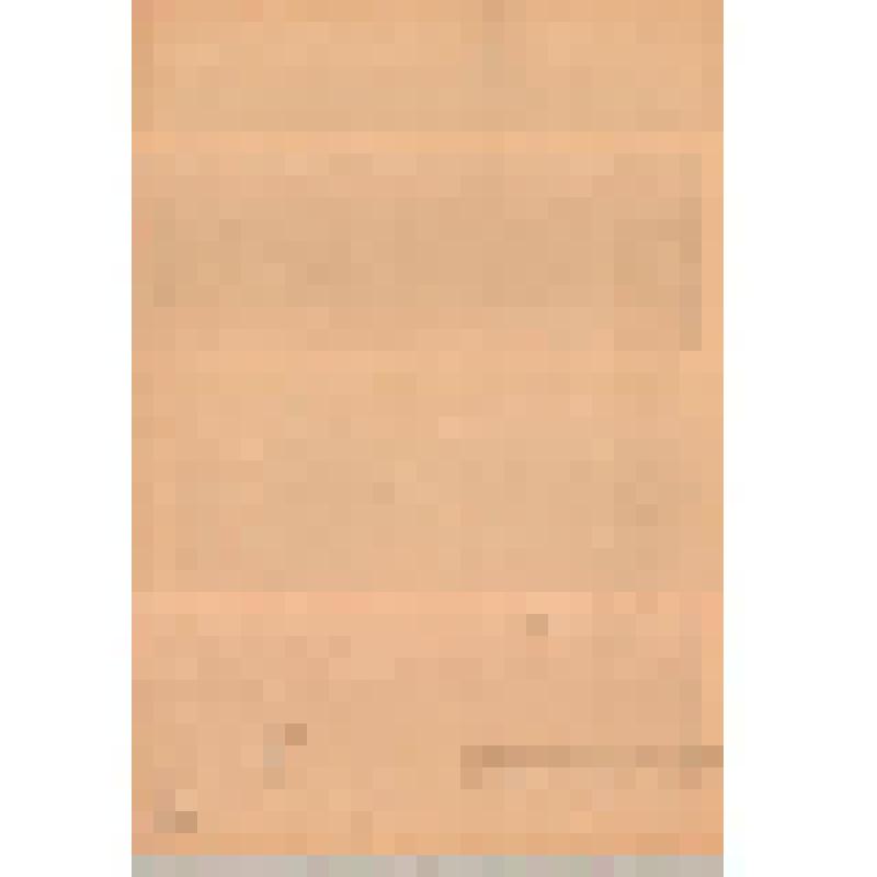 Линогравюра. Киевский вокзал. Из серии «Золотая Москва»