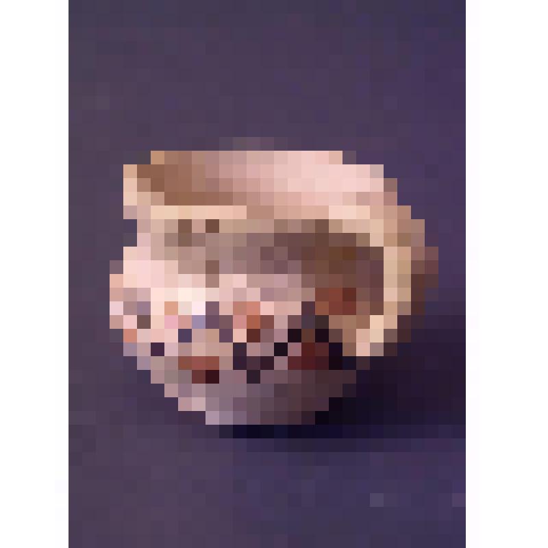 Молочник
