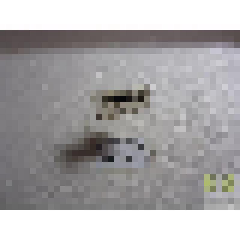 Быстряк Торея  (Agonum Thoreyi Dej.)