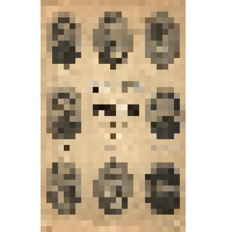 Книга. Трудовая группа в Государственной Думе /  Сост. В. Ш