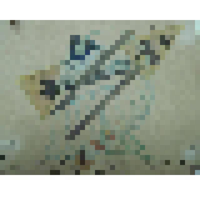 Орнамент. Цветок. Рисунок