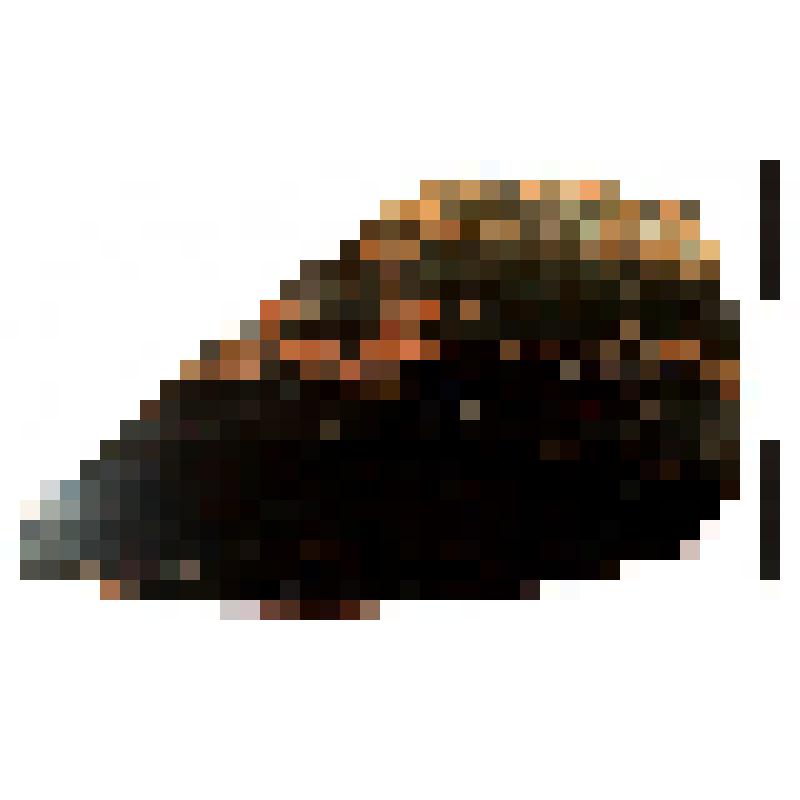 Фрагмент венчика с частью стенки чернолаковой миски