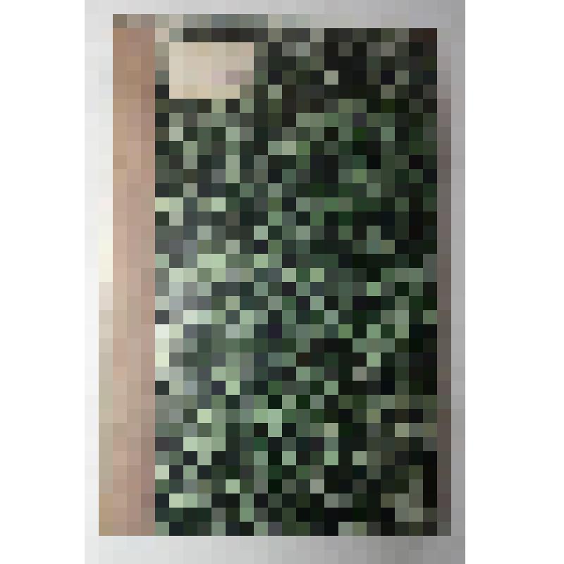 Книга. Восьмой годовой отчет состоящего под августейшим покровительством ее императорского высочества государыни цесаревны общества подания помощи при кораблекрушениях 1879 год.  Типография Второго Отделения Собственной Е.И.В. Канцелярии