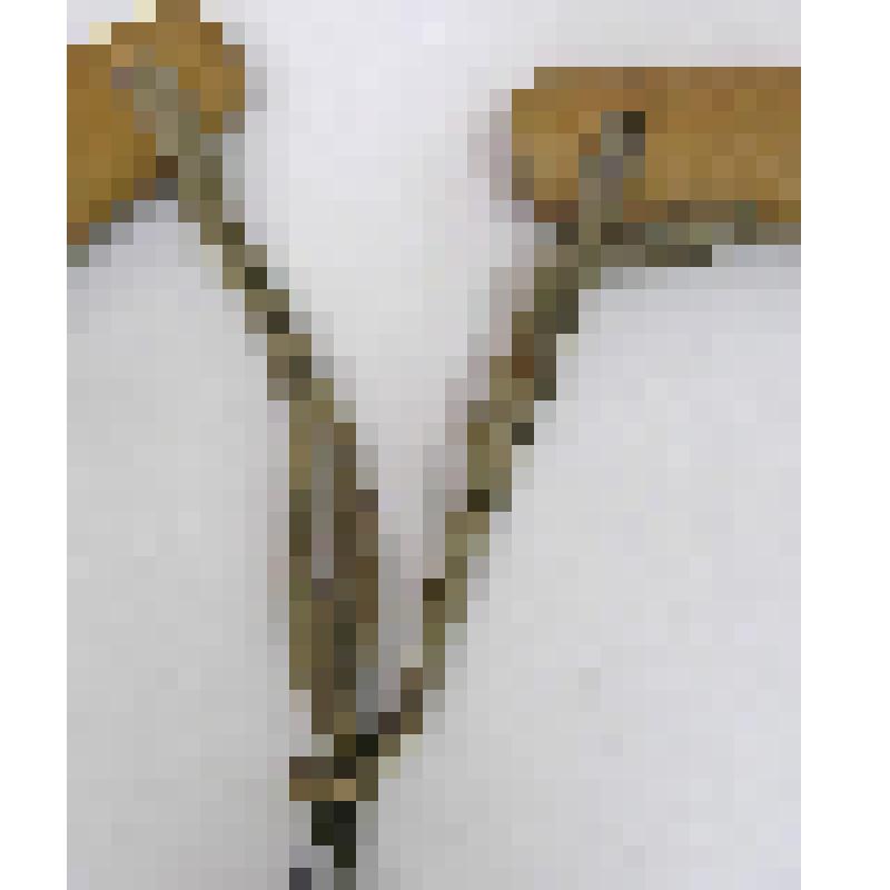 Ремешок подшейный, сыромятный