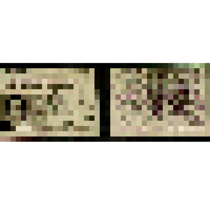 Документ. Билет студенческий № 073 заочного отделения Высшей профсоюзной школы ВЦСПС Хохриной Изабеллы Трифоновны