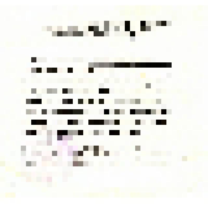 Свидетельство участника в сооружении  и открытии 19.09.1987г.в пос. Усть – Оленек ЯАССР мемориа-ла отважным полярным исследователям  В.В. и Марии (Татьяне) Прончищевым в связи с 250-летием их гибели во славу Отечества от 30.09.1987г».  На 2 л