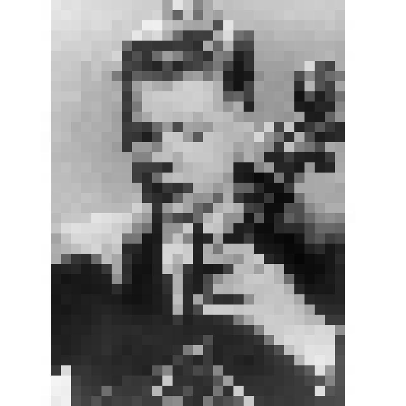 Негатив. Харрелл Л.М. - американский виолончелист