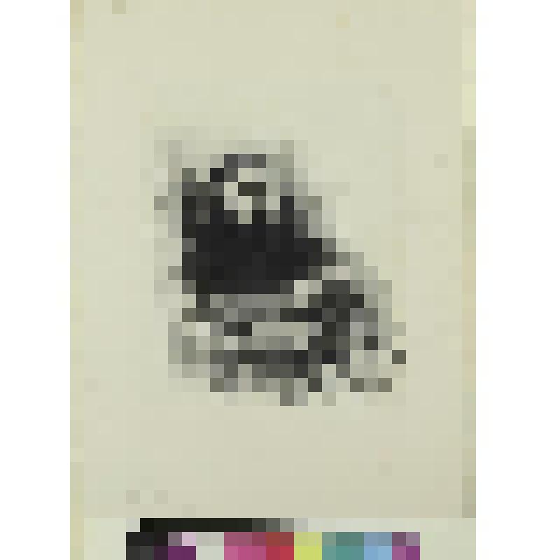 Портрет мужчины, гравюра