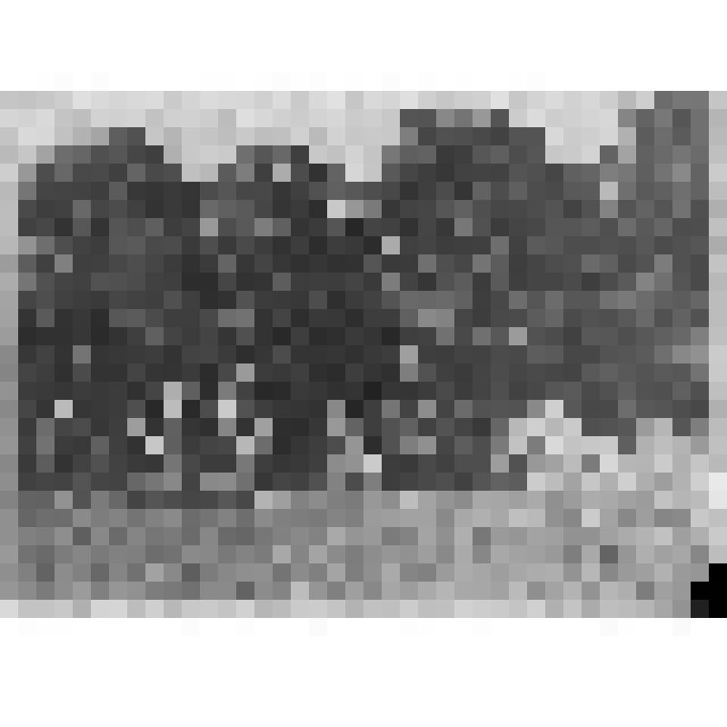 Солдаты и офицеры во время отдыха