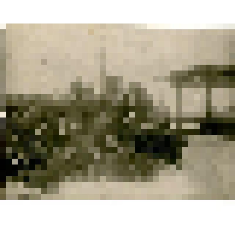 Фотография. Группа делегатов на съезд по перевыборам в Кюсюре