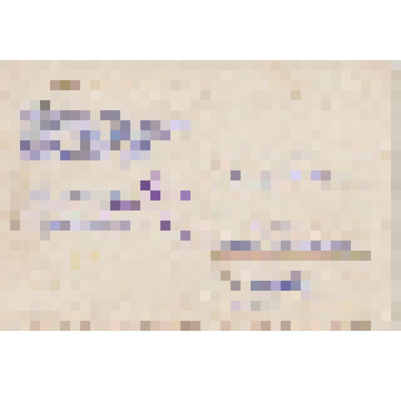 Открытое письмо Т.И. Осипенко