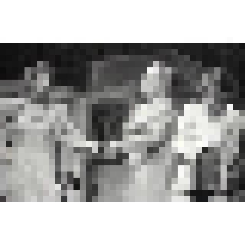 Негатив черно-белый. 1-ое действие. Маша - Майорова Е.В.;  Ольга - Барнет О.Б.;  Ирина - Медведева П.В. "Три сестры" (1997 - 2003)