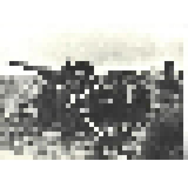 Фотографии. Фото ч/б. В дни генерального наступления на Берлин. Артиллеристы ведут огонь, апрель 1945 г