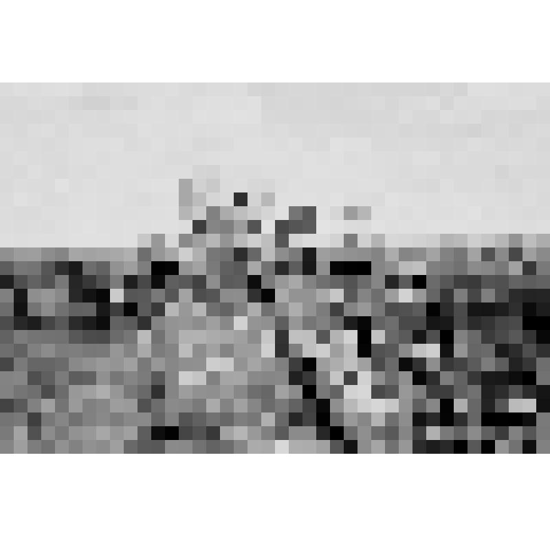 Фотография.  На снимке Герой Социалистического труда Александра Егоровна Понедельченко