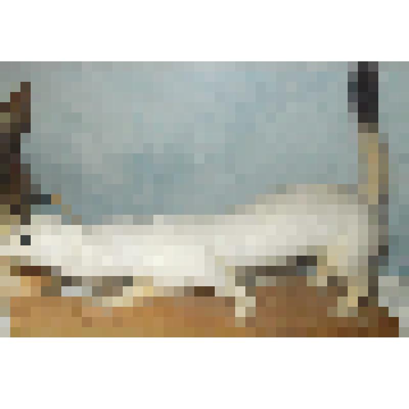 Чучело животного "Горностай (лат. Mustela erminea, Linnaeus, 1758)"