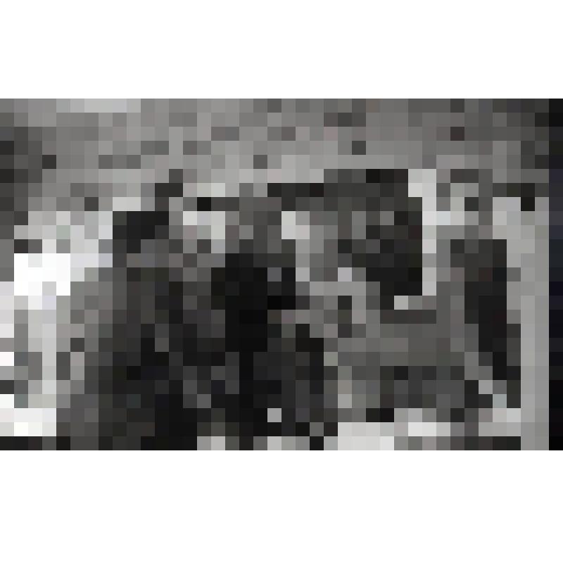Негатив. Народный депутат СССР Полуэктова Т.И. среди председателей Советов трудовых коллективов предприятий области