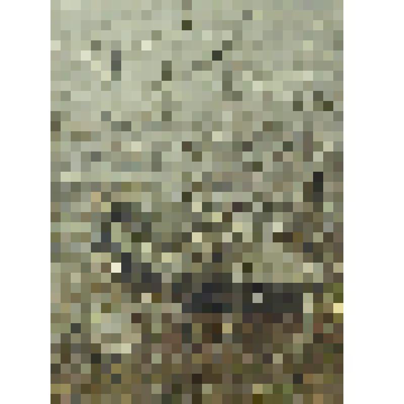 Лодка