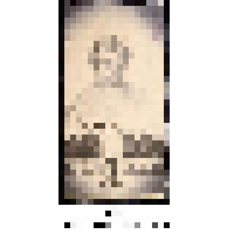 Марка, номиналом 1 копейка. Серия: 10-летие смерти В.И. Ленина