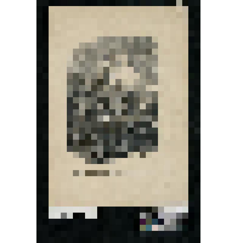 Листы из сюиты исторических сцен. Германская революция.
"Поджогъ толпою таможенъ на окраинахъ Вены"