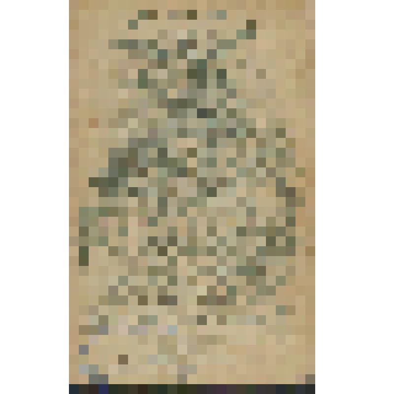 Фотография. Портрет Святова Н.В