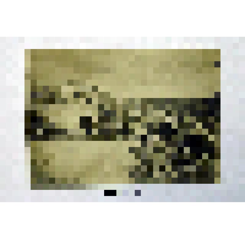 Фотография чёрно-белая. Фотография