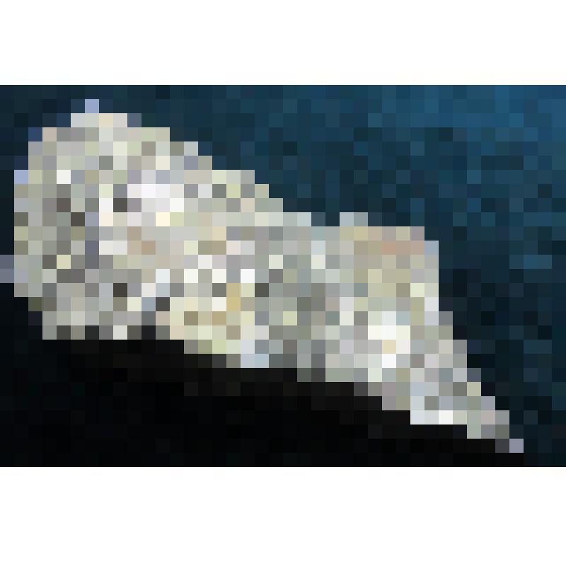 Халькопирит - пирротиновая руда