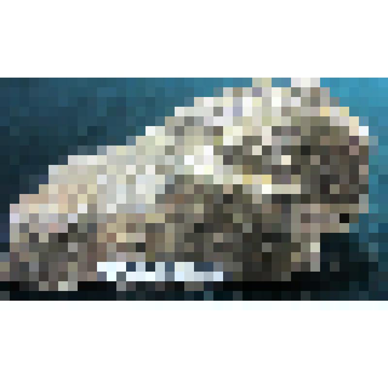 Халькопирит - пирротиновая руда