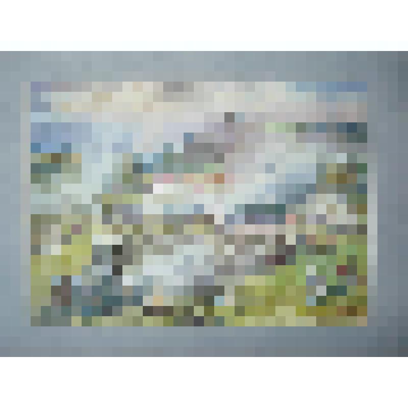 "Ярмарочная кутерьма с шашлычным оттенком", 2009 г