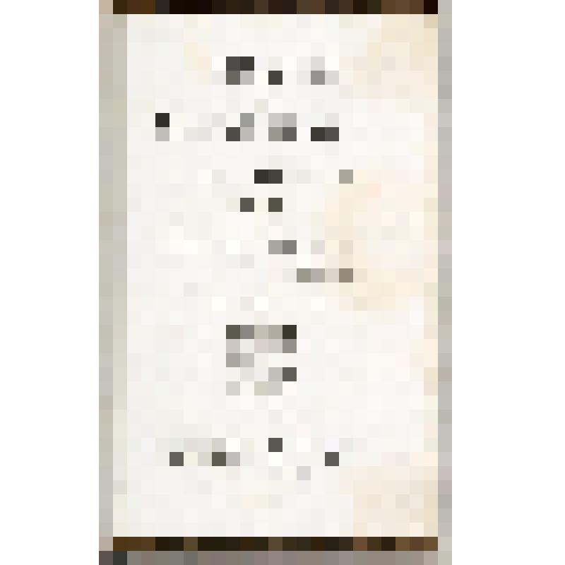 Книга. L'Homme au Masque de Fer. Tome quatrième