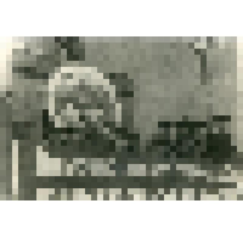 Фотография. Выступление первого секретаря Хабаровского крайкома ВКП(б) Боркова Г.А. с трибуны перед трудящимися