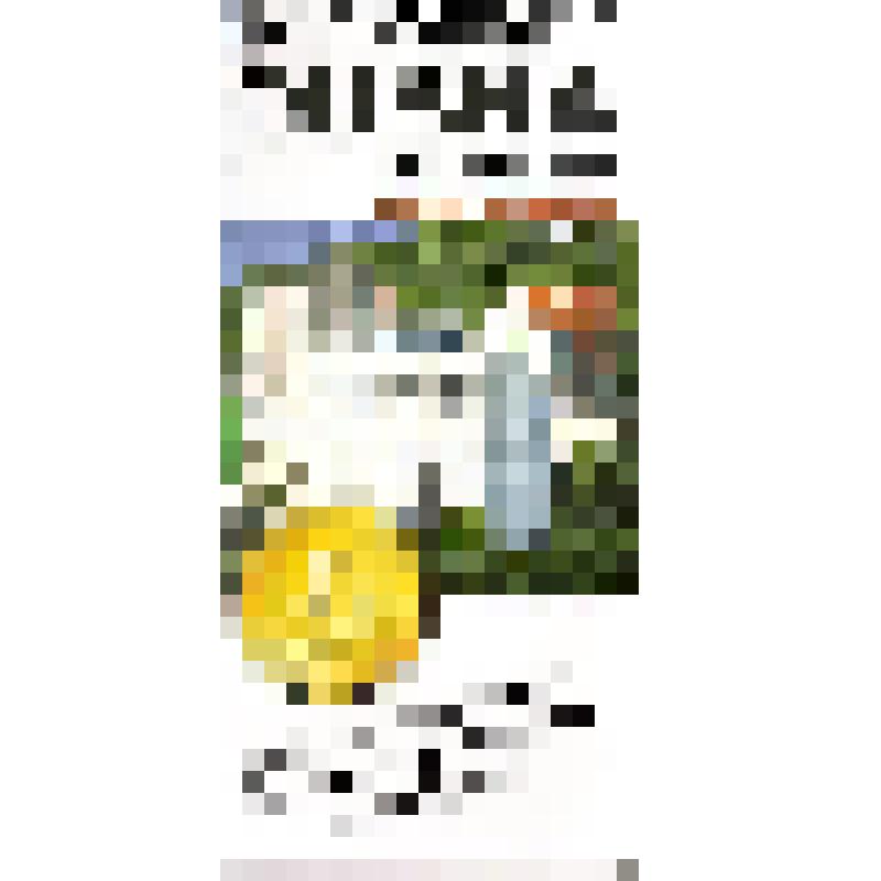 Буклет «DUBNA» Пансионат Крым-Алушта»