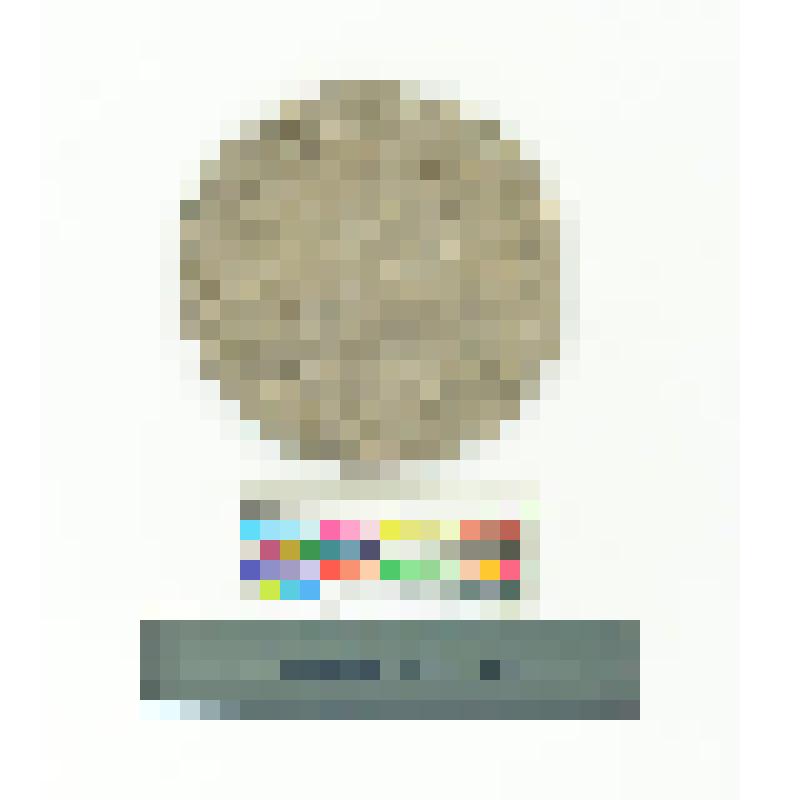 Монета. Елизавета Петровна. Рубль. 1760 г