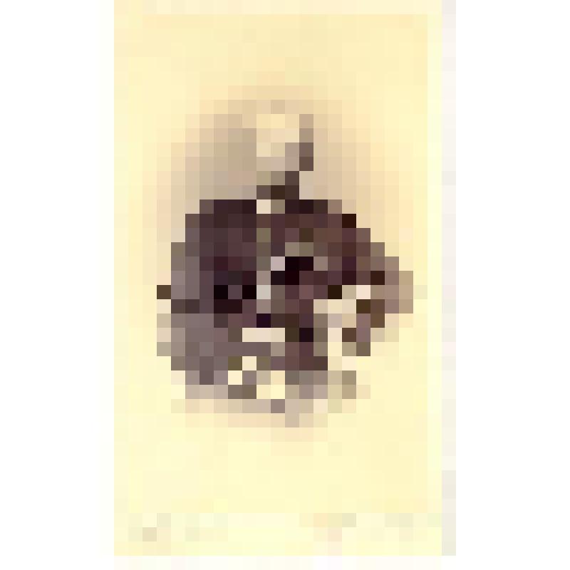 Фотография. Колюбакин Петр Иванович